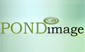 Pond Image Design & Construction